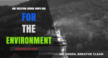 Cruise Ships' Environmental Impact: Sustainable Travel or Ecological Disaster?