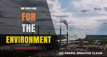 Vaping's Environmental Impact: Uncovering the Hidden Ecological Costs