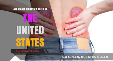 Wasted Potential: Are Viable Kidneys Discarded in the U.S.?