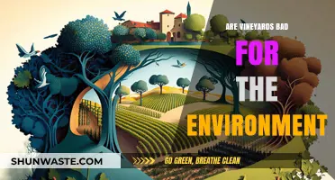 Vineyards' Environmental Impact: Sustainable Practices vs. Ecological Concerns
