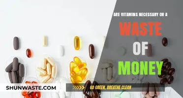 Vitamins: Essential Health Boost or Unnecessary Expense?
