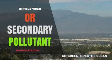 VOCs: Primary or Secondary Pollutants?