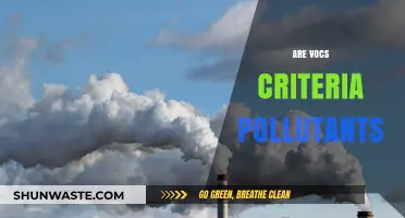VOCs: Pollutants or Not?