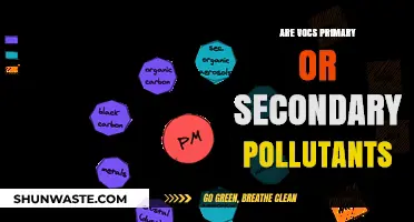 VOCs: Primary or Secondary Pollutants?