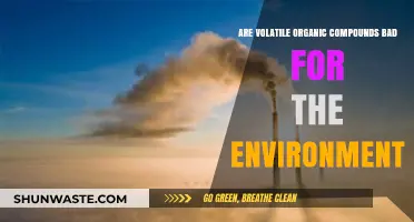 Volatile Organic Compounds: Environmental Impact and Health Concerns Explained