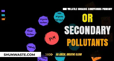 Understanding VOCs: Primary or Secondary Pollutants?