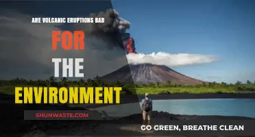 Volcanic Eruptions: Environmental Hazards or Natural Ecosystem Balancers?