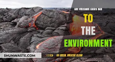 Volcanic Gases: Environmental Impact and Ecological Consequences Explained