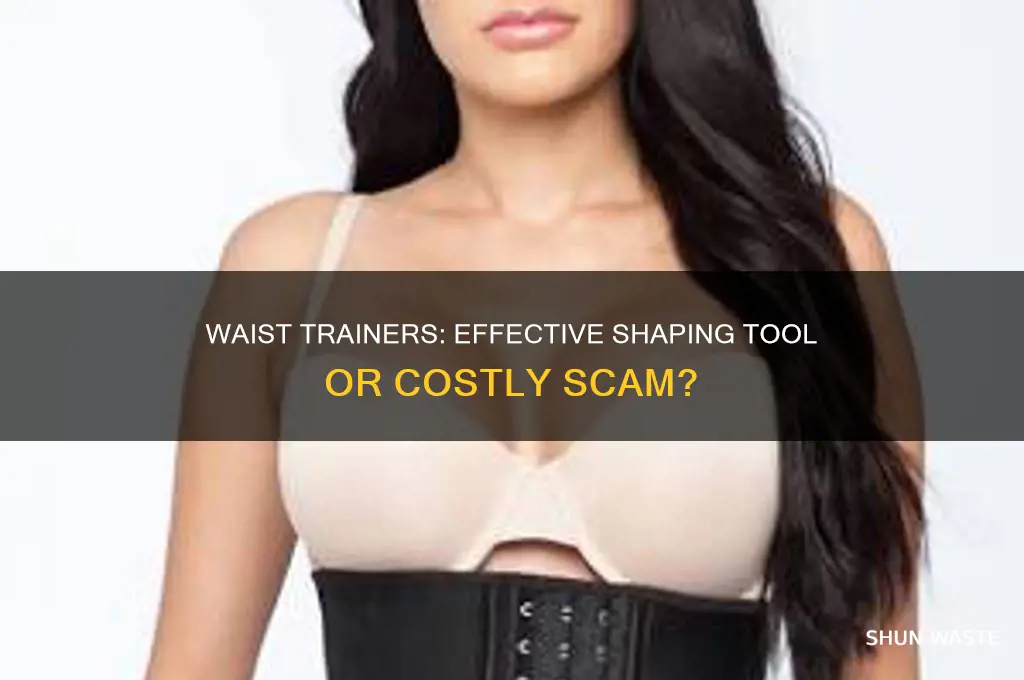 are waist trainers a waste of money