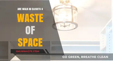 Walk-In Closets: Space-Saving Solution or Unnecessary Luxury?