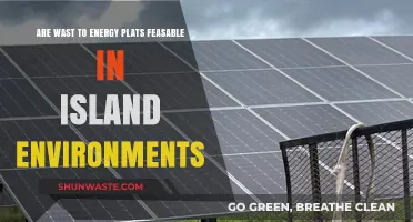 Waste-to-Energy Plants: Feasibility in Island Ecosystems Explored