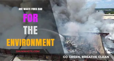 Waste Fires: Environmental Impact and Long-Term Ecological Consequences Explained