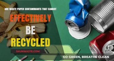 Waste Paper Contaminants: Recycling Challenges and Effective Solutions Explored