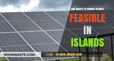 Waste-to-Energy Plants: A Sustainable Solution for Island Communities?