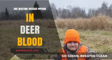 Chronic Wasting Disease: Are Prions Detectable in Deer Blood?