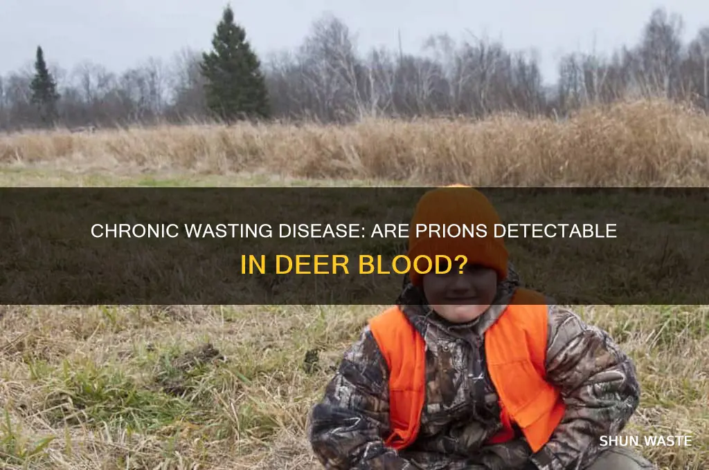 are wasting disease pryons in deer blood