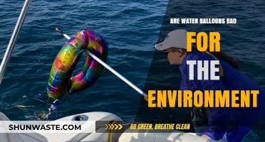 Water Balloons: Fun Summer Toy or Environmental Hazard?