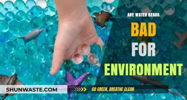Water Beads: Eco-Friendly or Harmful to Our Environment?