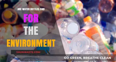Are Water Bottles Eco-Friendly? Uncovering Their Environmental Impact