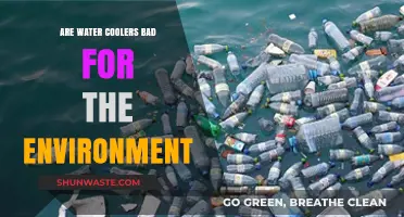Water Coolers' Environmental Impact: Sustainable or Harmful Choice?