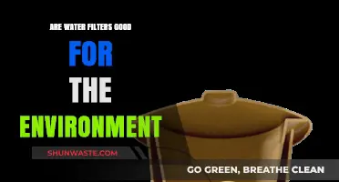 Eco-Friendly Hydration: How Water Filters Benefit Our Environment