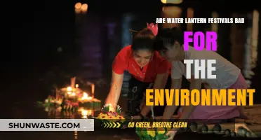 Water Lantern Festivals: Eco-Friendly Celebration or Environmental Hazard?