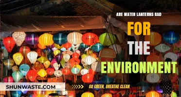 Water Lanterns: Eco-Friendly Celebration or Environmental Hazard?