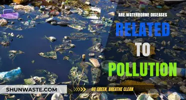 Waterborne Diseases: Pollution's Impact and Health Risks