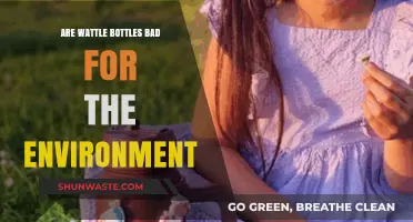 Are Wattle Bottles Eco-Friendly? Uncovering Their Environmental Impact