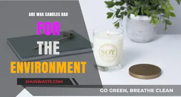 Wax Candles and Their Environmental Impact: What You Need to Know