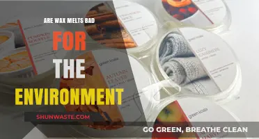 Eco-Friendly or Not? The Environmental Impact of Wax Melts