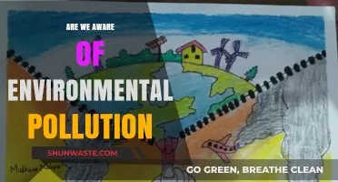 The Green Crisis: Are We Really Aware?