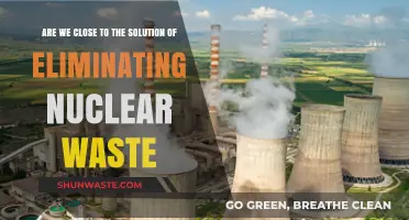 Advancing Towards a Nuclear Waste-Free Future: Are We Close?