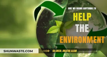 Are We Truly Acting to Protect Our Environment? A Critical Look