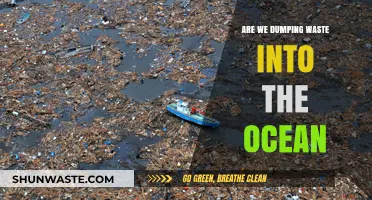 Ocean Waste Crisis: Are We Drowning Our Seas in Trash?
