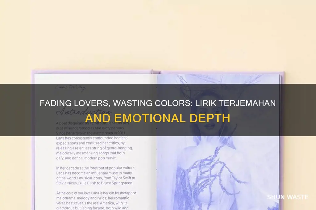 are we fading lovers we keep wasting colors lirik terjemahan