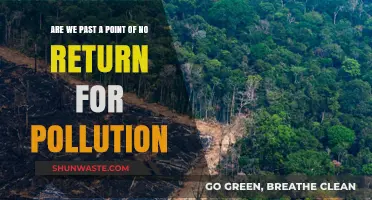 The World is Polluted: Can We Recover?
