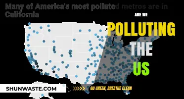 The US Pollution Problem: What's the Real Cost?