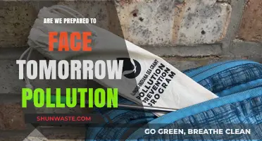 The Future of Pollution: Are We Ready?