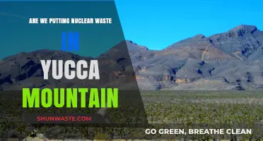Yucca Mountain: The Controversial Nuclear Waste Storage Debate Explored