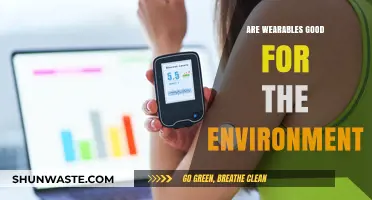 Wearables and Sustainability: Eco-Friendly or Environmental Burden?