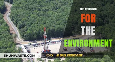 Environmental Impact of Wells: Uncovering the Hidden Ecological Consequences