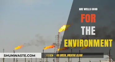 Environmental Impact of Wells: Sustainable Benefits or Ecological Concerns?
