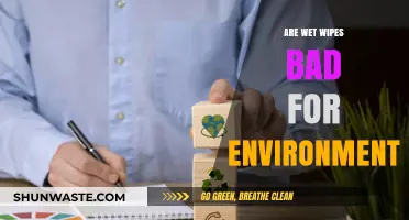 Wet Wipes and the Environment: Uncovering Their Hidden Ecological Impact