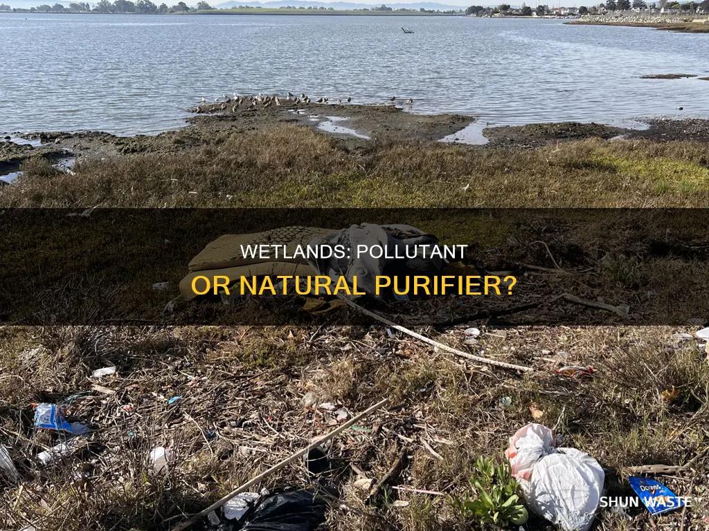 are wetlands considered a pollutant