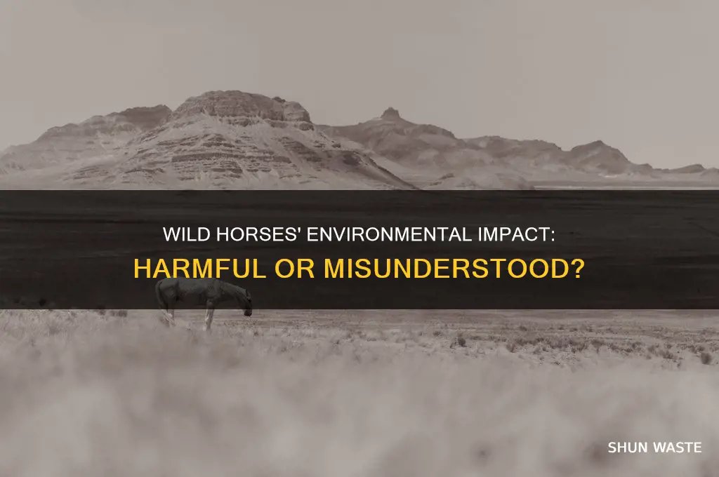 are wild horses bad for the environment