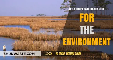 Wildlife Sanctuaries: Environmental Benefits and Their Impact on Ecosystems