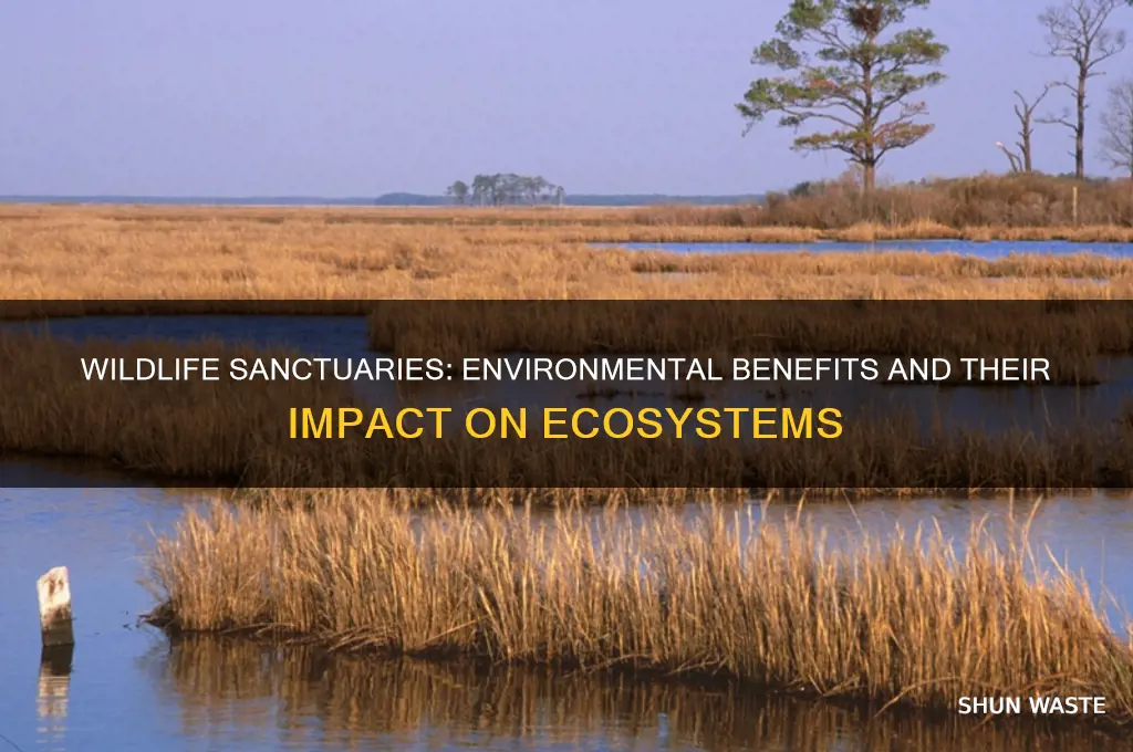 are wildlife sanctuaries good for the environment
