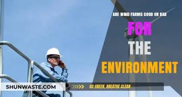 Wind Farms: Environmental Savior or Ecological Challenge?