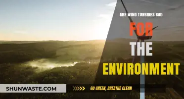 Wind Turbines and the Environment: Uncovering the Ecological Impact